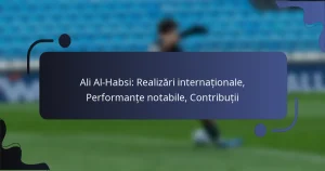 Ali Al-Habsi: Realizări internaționale, Performanțe notabile, Contribuții